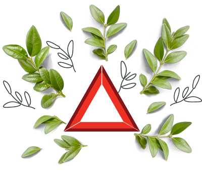 Red triangle surrounded by leaves.