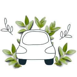 Find out more about the green car insurance reward program.