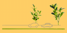 Two illustrated cars driving along a road of grass and leaves.