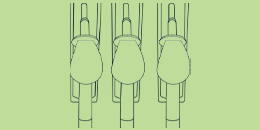 Illustration of petrol pumps at a petrol station