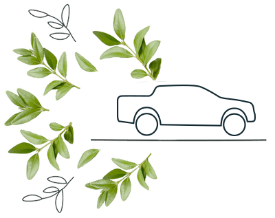 Illustration of a pick up based on a Ford Ranger, the illustration is surrounded by leaves