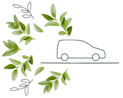 Illustration of a small van based on a VW Caddy, the illustration is surrounded by leaves